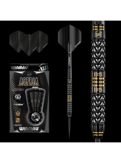 Dart szett Winmau steel Aspria 22g 95/90% dual tungsten