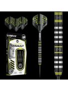 DART SZETT WINMAU STEEL MICHAEL VAN GERWEN ASSAULT 23G 90% WOLFRAM