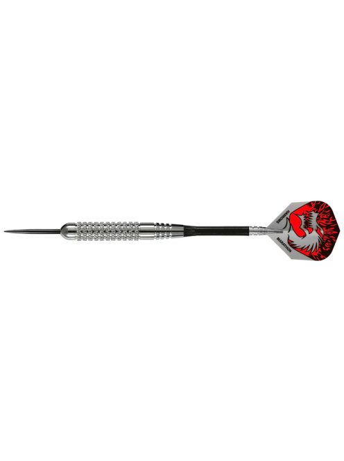 Dart szett Harrows steel 24g Silver Arrows K