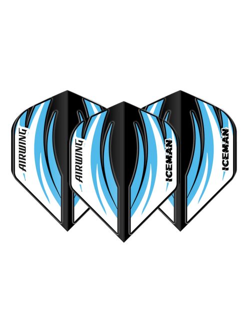 DARTS TOLL RED DRAGON AIRWING GERWYN PRICE ICEMAN FEKETE-KÉK, STANDARD