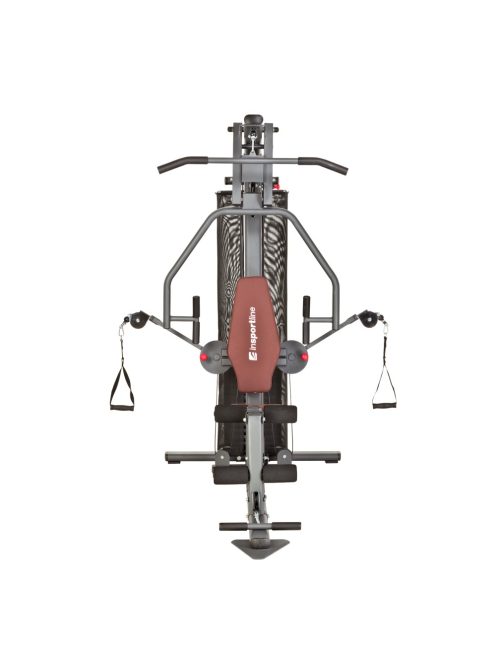 Multifunctional gym inSPORTline ProfiGym C95