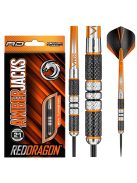 Dart set Red Dragon steel Amberjack 2 - 21g