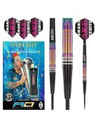 Red Dragon Peter Wright Snakebite World Champion Tapered SE 21gram 90% steel darts