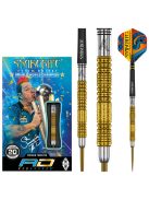 DART SZETT RED DRAGON STEEL PETER WRIGHT DOUBLE WORLD CHAMPION GOLD PLUS 22G, 90% WOLFRAM