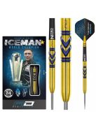 DART SZETT STEEL RED DRAGON GERWYN PRICE AVALANCHE GOLD 24G