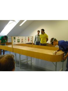 ping-pong table for the visually impaired