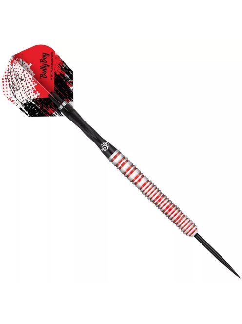 Darts szett Shot steel, Michael Smith Game Day 23g, 90%