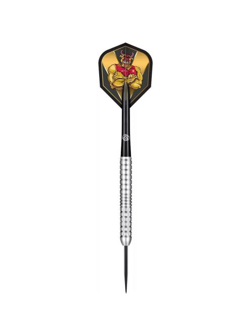 Darts szett steel Shot Michael Smith Precision 25g, 80% 