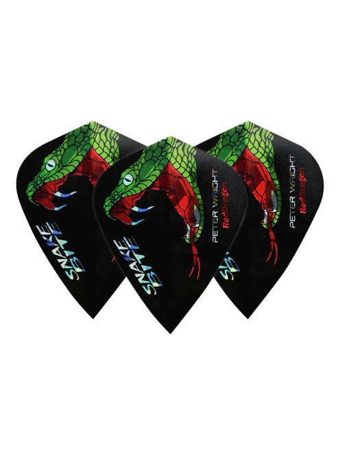 PETER WRIGHT SNAKEBITE HOLOGRAPHIC HARDCORE KITE