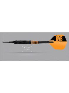   Darts szett Target, soft  19g Raymond van Barneveld, brass, RVB, fekete