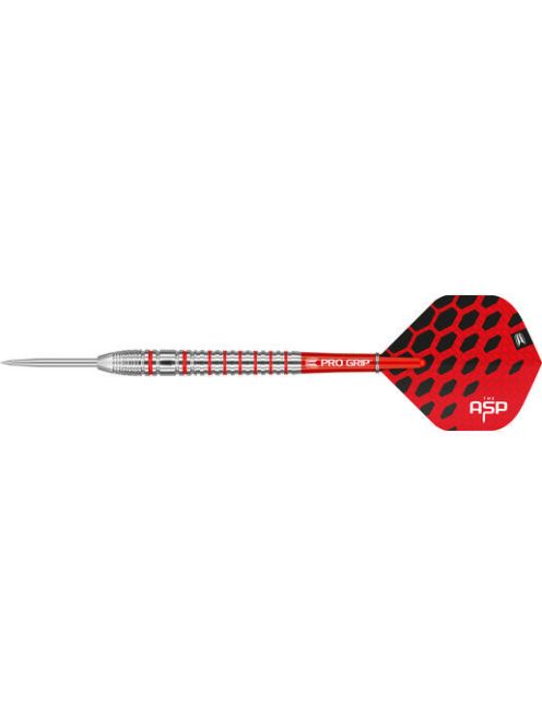 Darts szett TARGET steel 24g Nathan Aspinall 80% wolfram, 2021