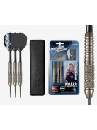 Dart szett TARGET steel TUNGSTEN LOOK 22g