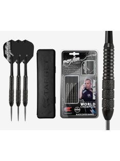 Dart set TARGET steel POWER STORM 22g - Phil Taylor