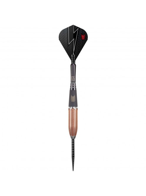 Darts szett TARGET steel 22g Phil Taylor Power 9five Gen5 95%