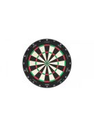 Darts board, Target Aspar, competition quality, sisal